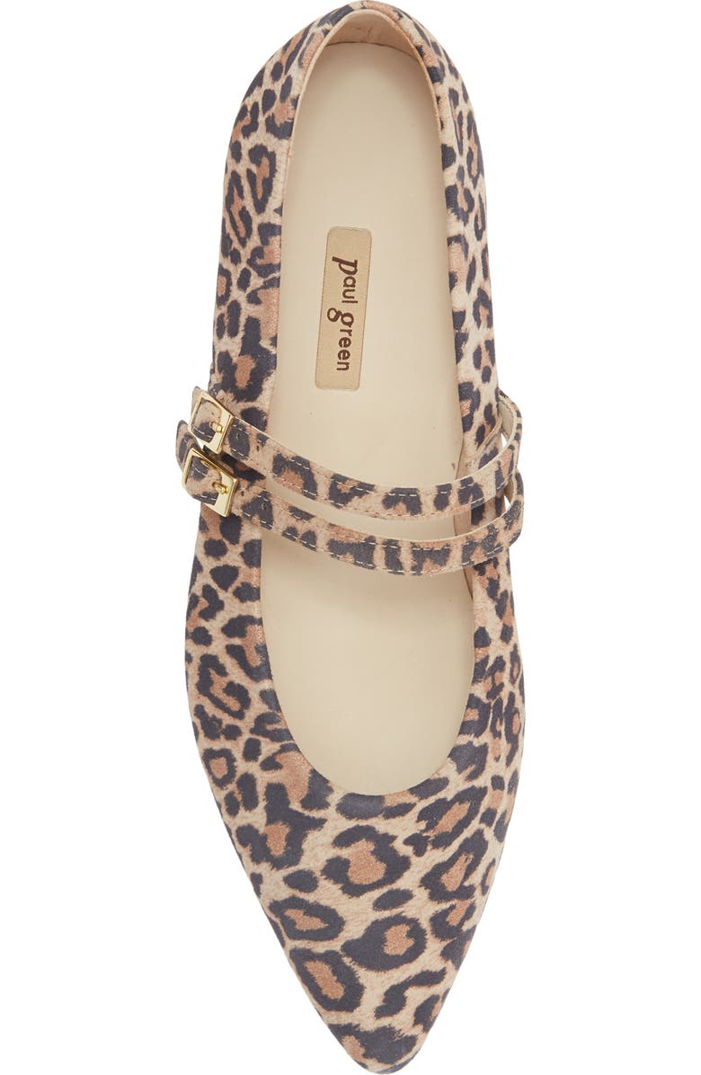 Paul Green Stella Pointed Toe Flat, Alternate, color, Leopard