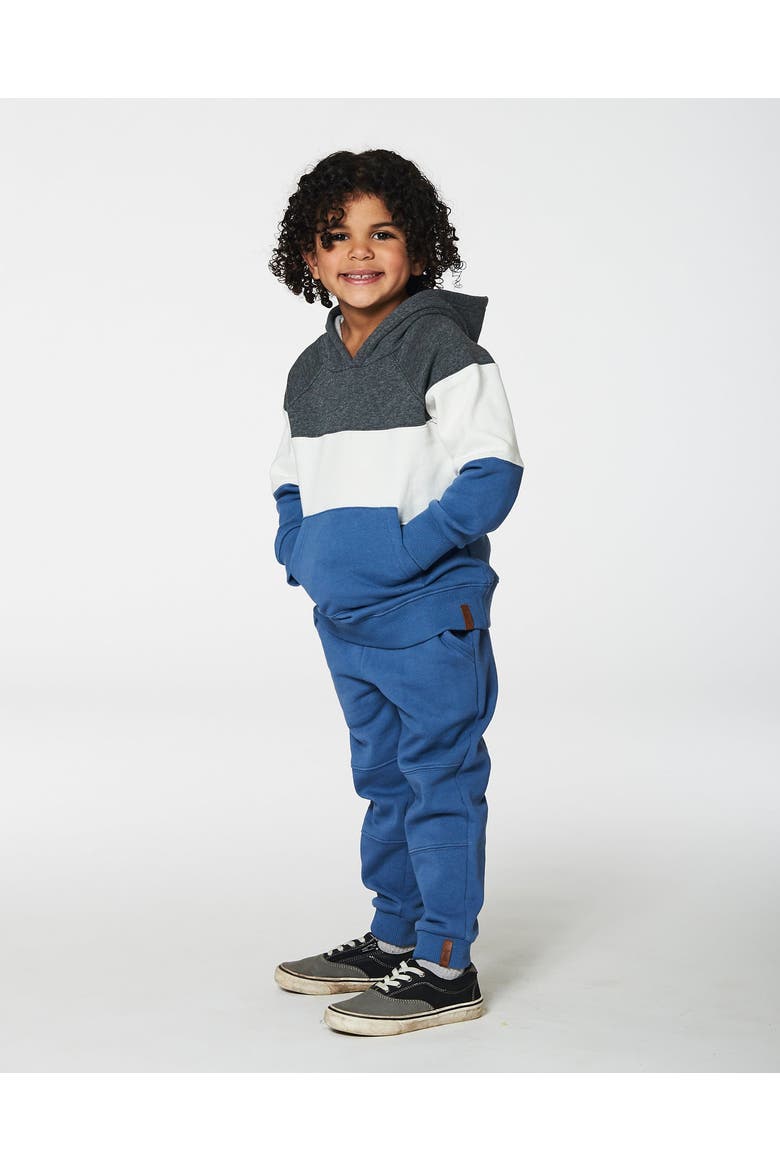 Little Boy's Colorblock Hooded Fleece Sweatshirt Gray, White And Blue, Alternate, color, Moonlight Blue