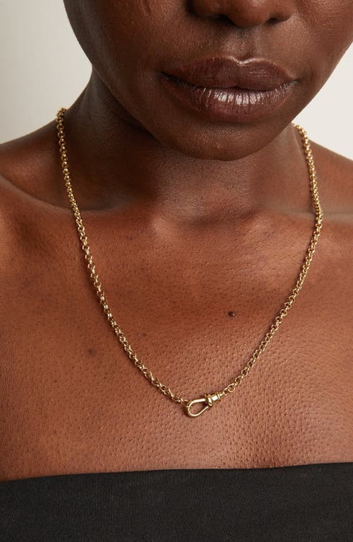 Aurate New York Gold Rolo Chain Necklace In White