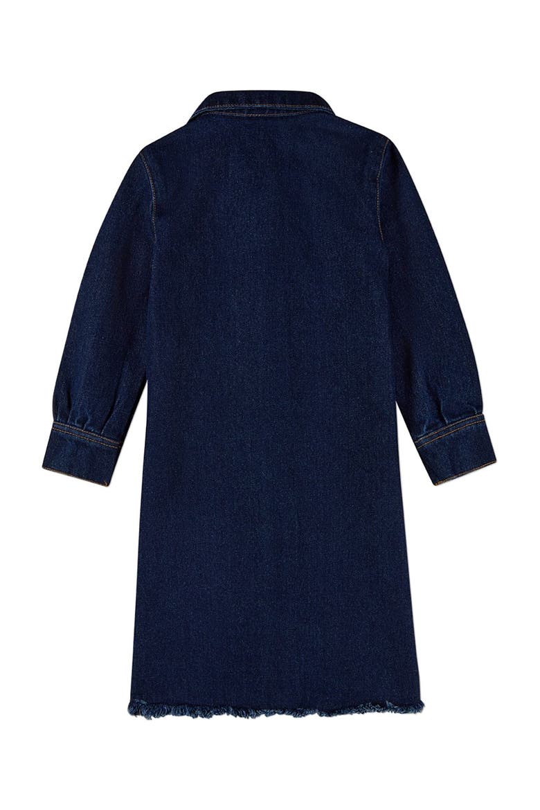 Kids Denim Shirt-Collared Button-Down Knee-Length Dress, Alternate, color, Dark Blue
