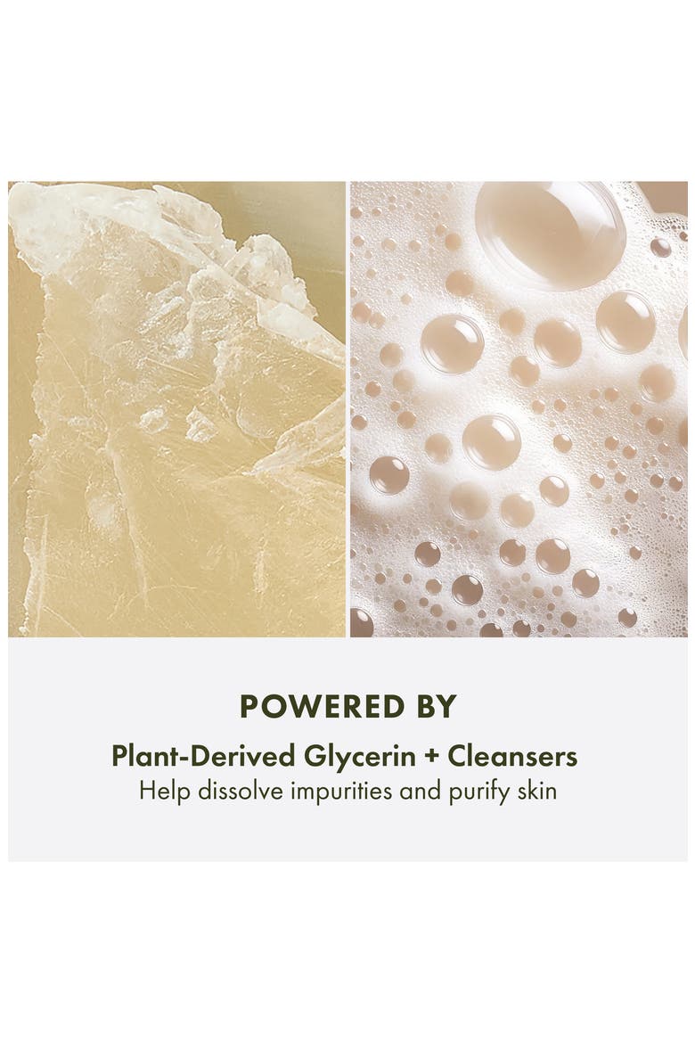Plantfusion™ Conditioning Hand & Body Wash, Alternate, color, NO COLOR