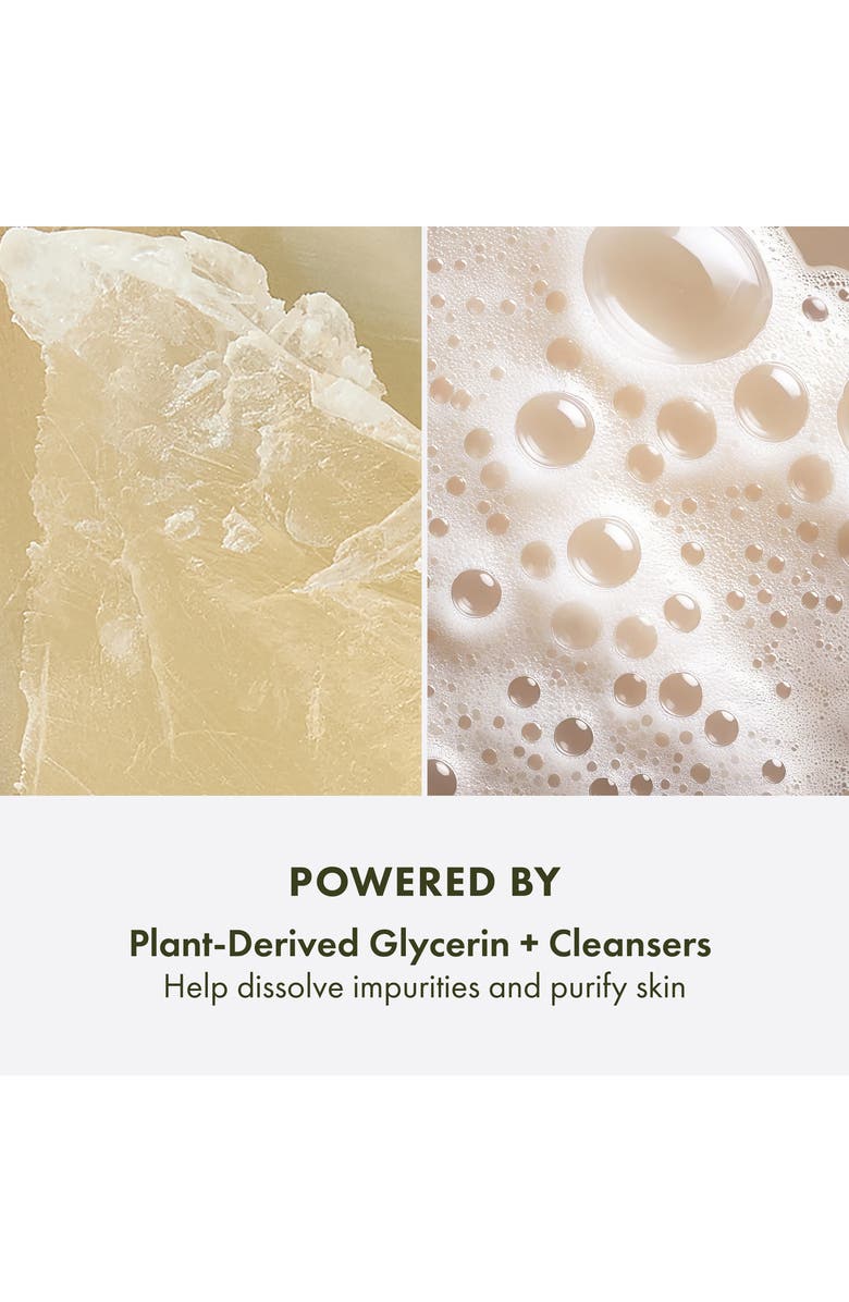 Origins Plantfusion<sup>™</sup> Conditioning Hand & Body Wash, Alternate, color, 