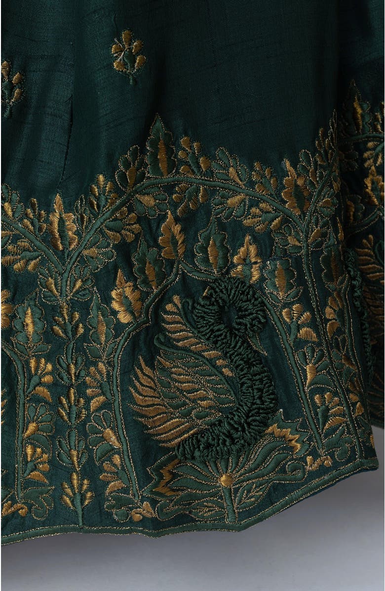 RAAS Sayona Raw Silk Embroidered Lehenga Choli, Alternate, color, 