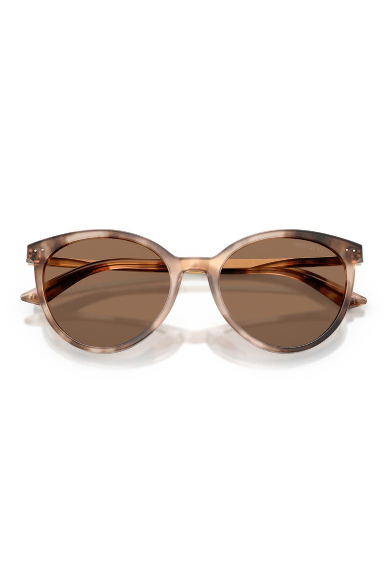 53mm Phantos Sunglasses, Alternate, color, CHAI HAVANA / DARK BROWN