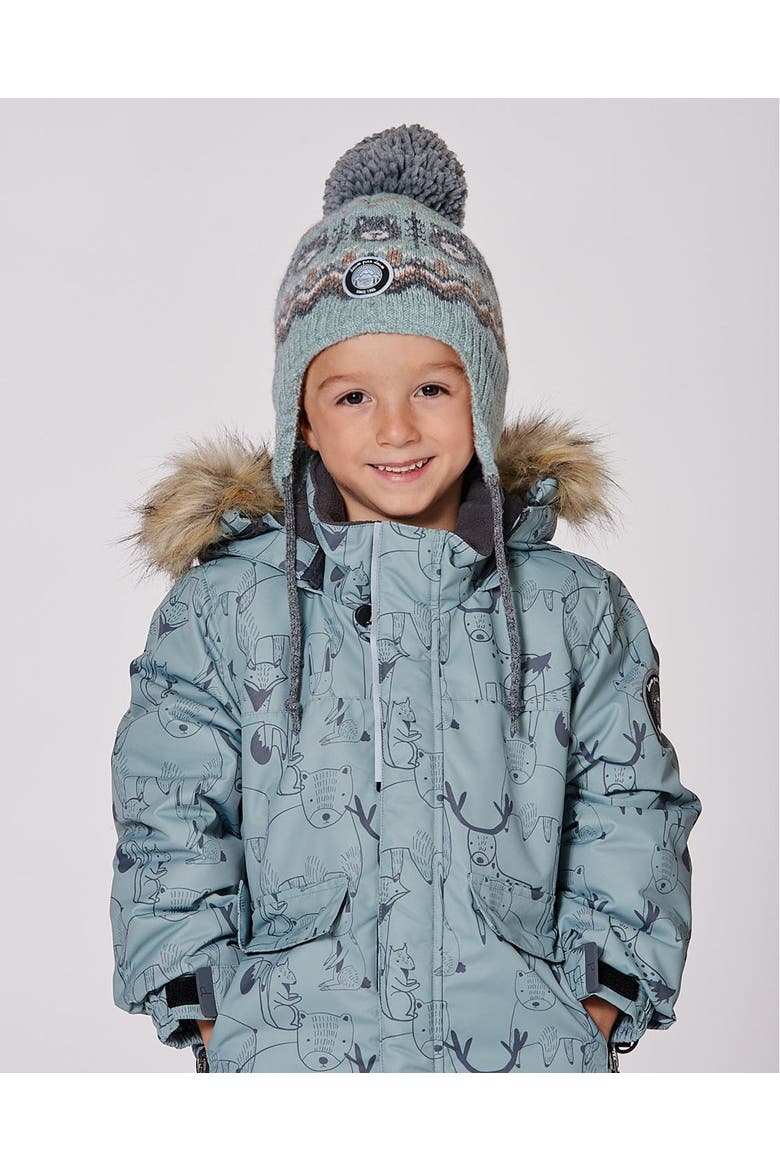 Boy Lined Peruvian Knit Pompom Hat, Alternate, color, Gray and Sage