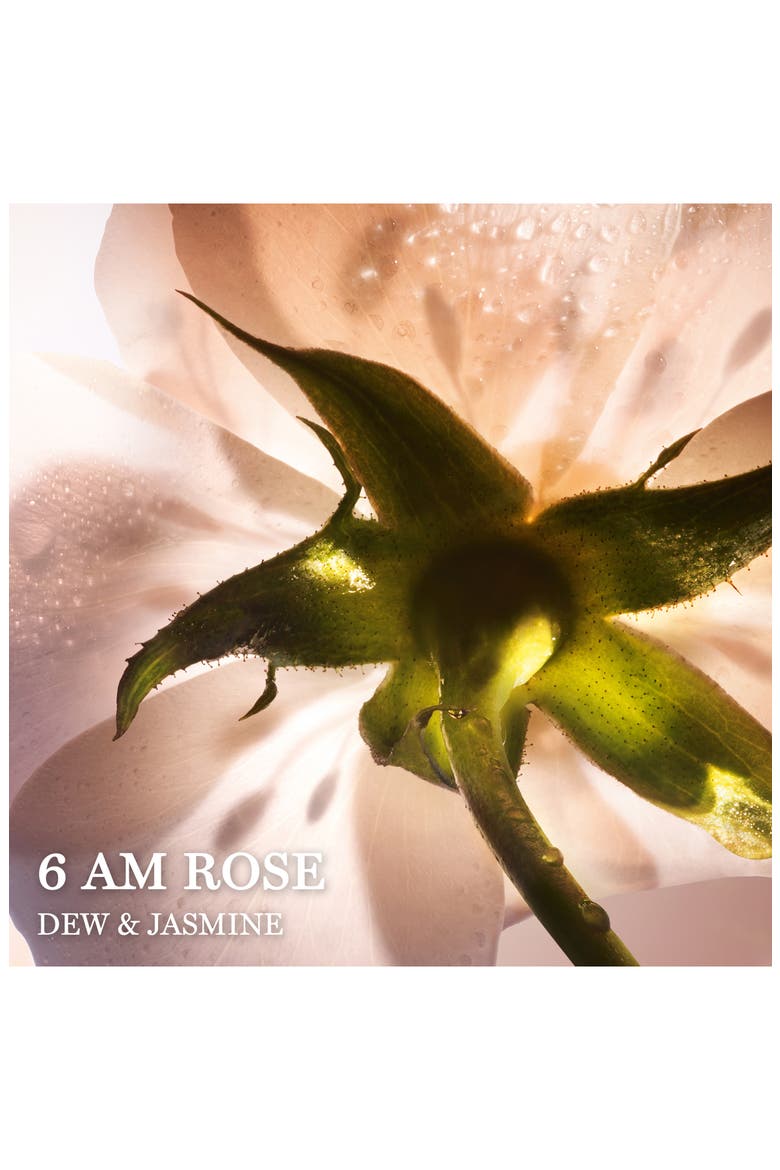 6 AM Rose Eau de Parfum, Alternate, color, NO COLOR