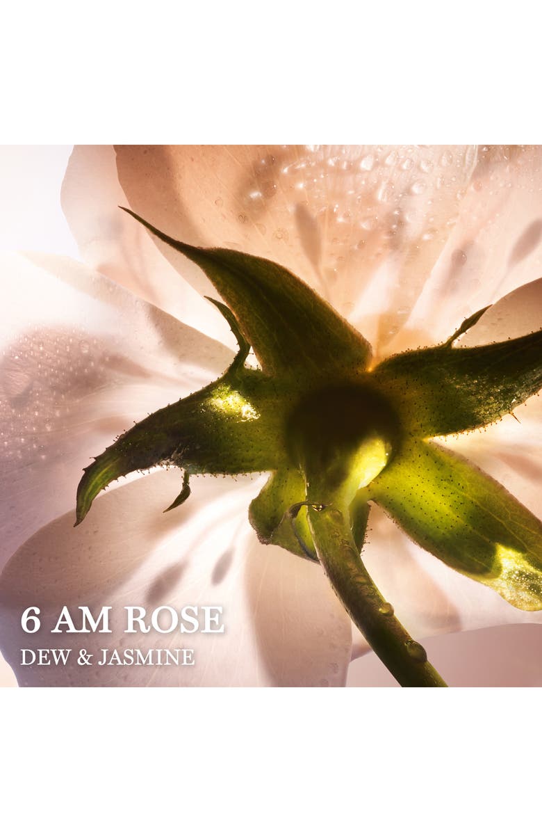 Lancôme 6 AM Rose Eau de Parfum, Alternate, color, 