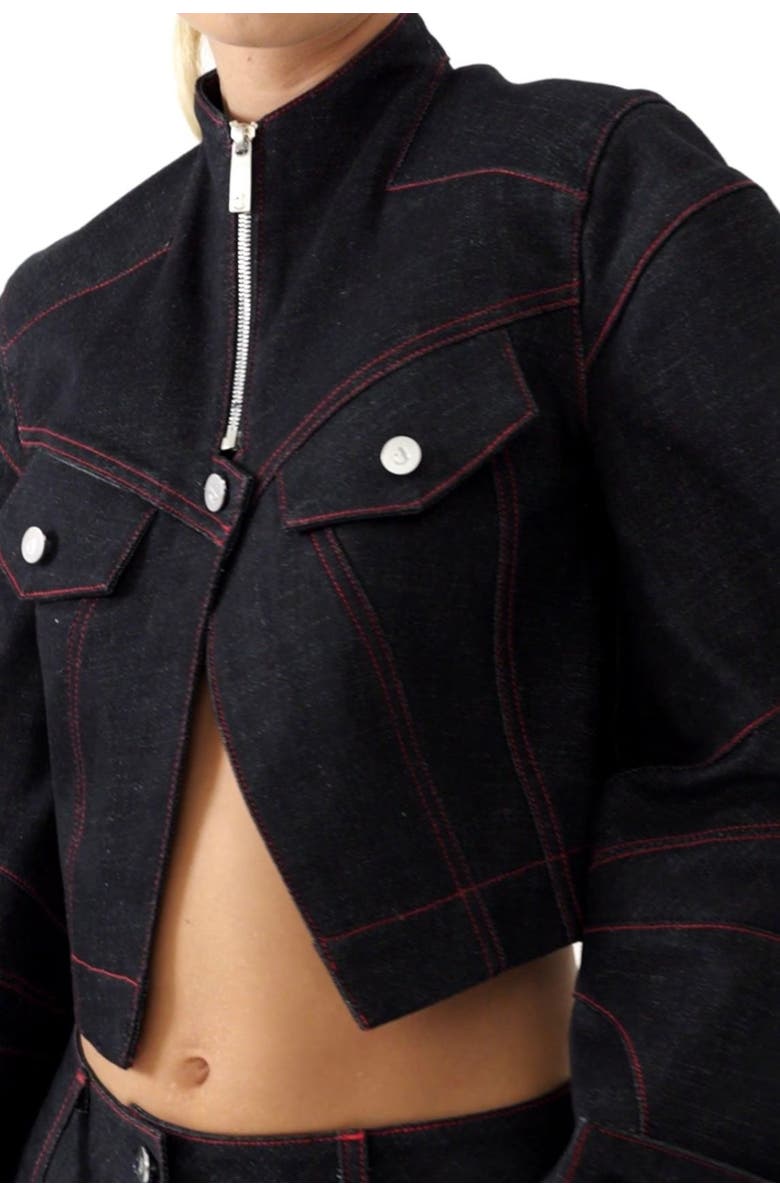 Jendue Davidson Cropped Denim Jacket, Alternate, color, Deep Blue