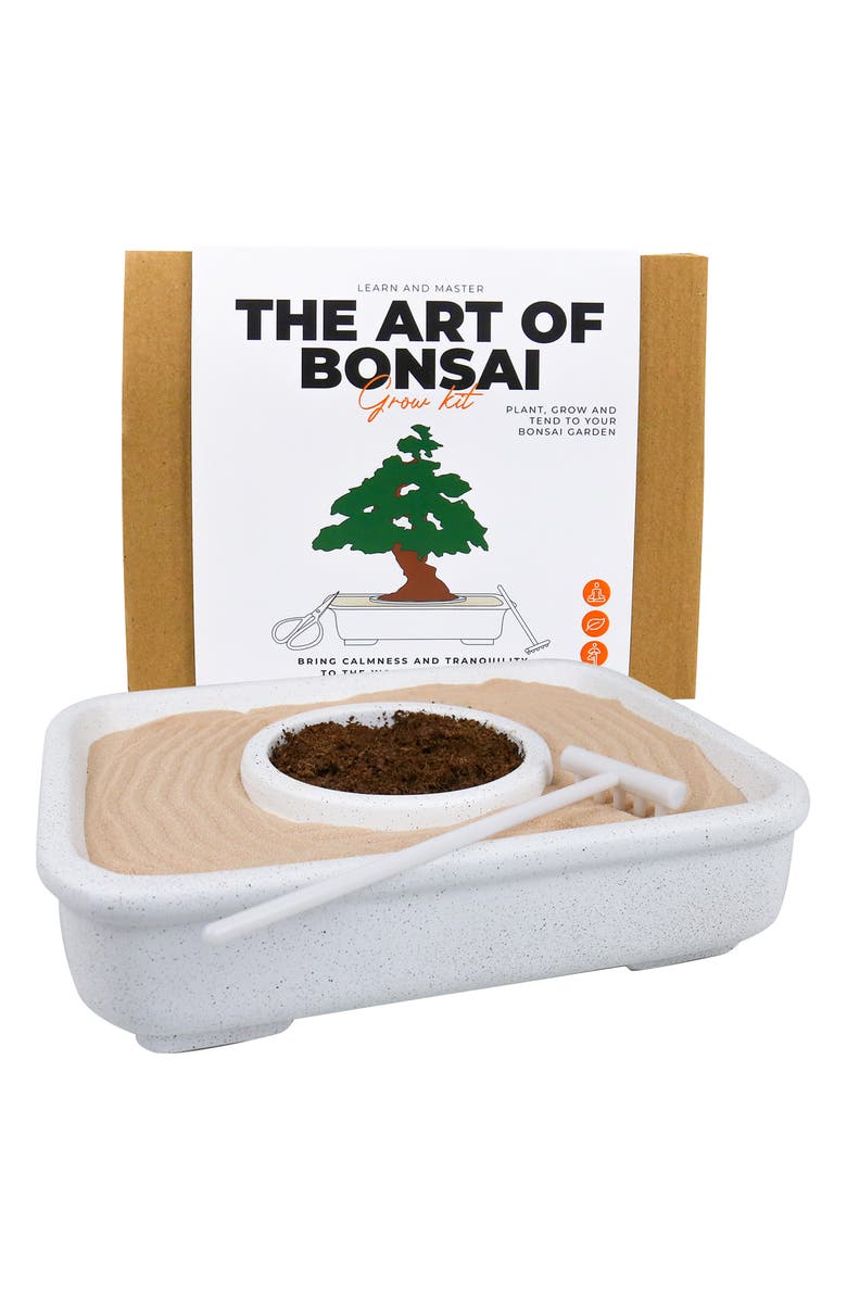 GIFT REPUBLIC The Art of Bonsai Grow Kit, Alternate, color, 