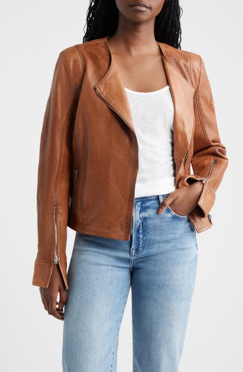 Athena Perforated Leather Jacket (Regular & Plus)
