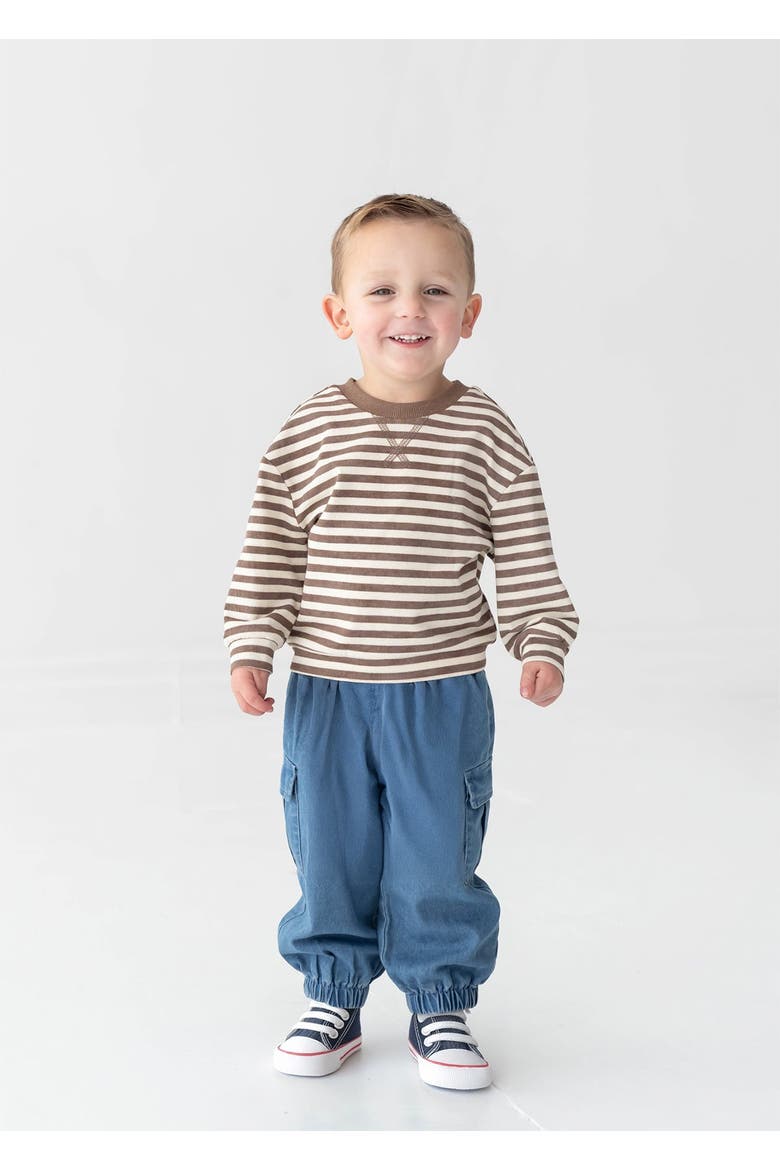 Max Long Sleeve Striped Raglan Ribbed Crew Neck Top, Main, color, Brown