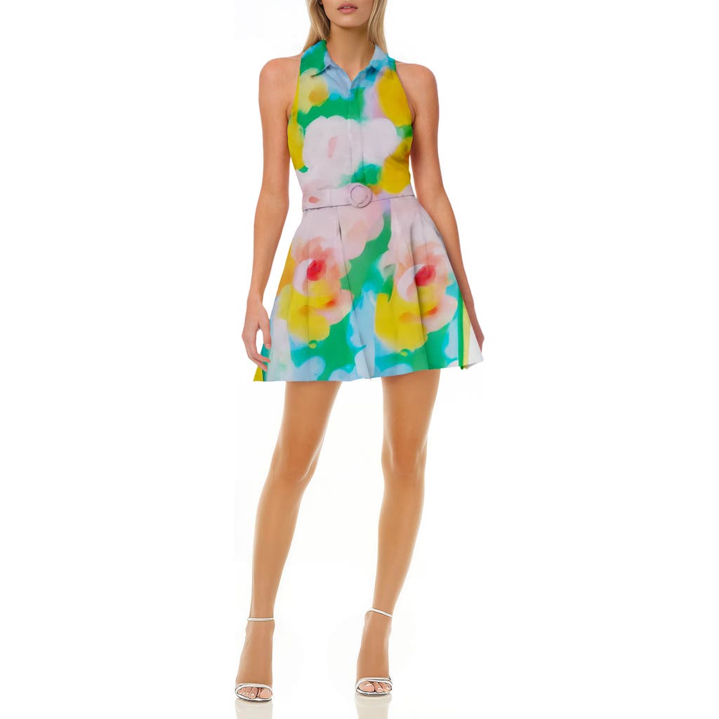 Jewel Badgley Mischka Sleeveless Mini Shirtdress In Green Multi