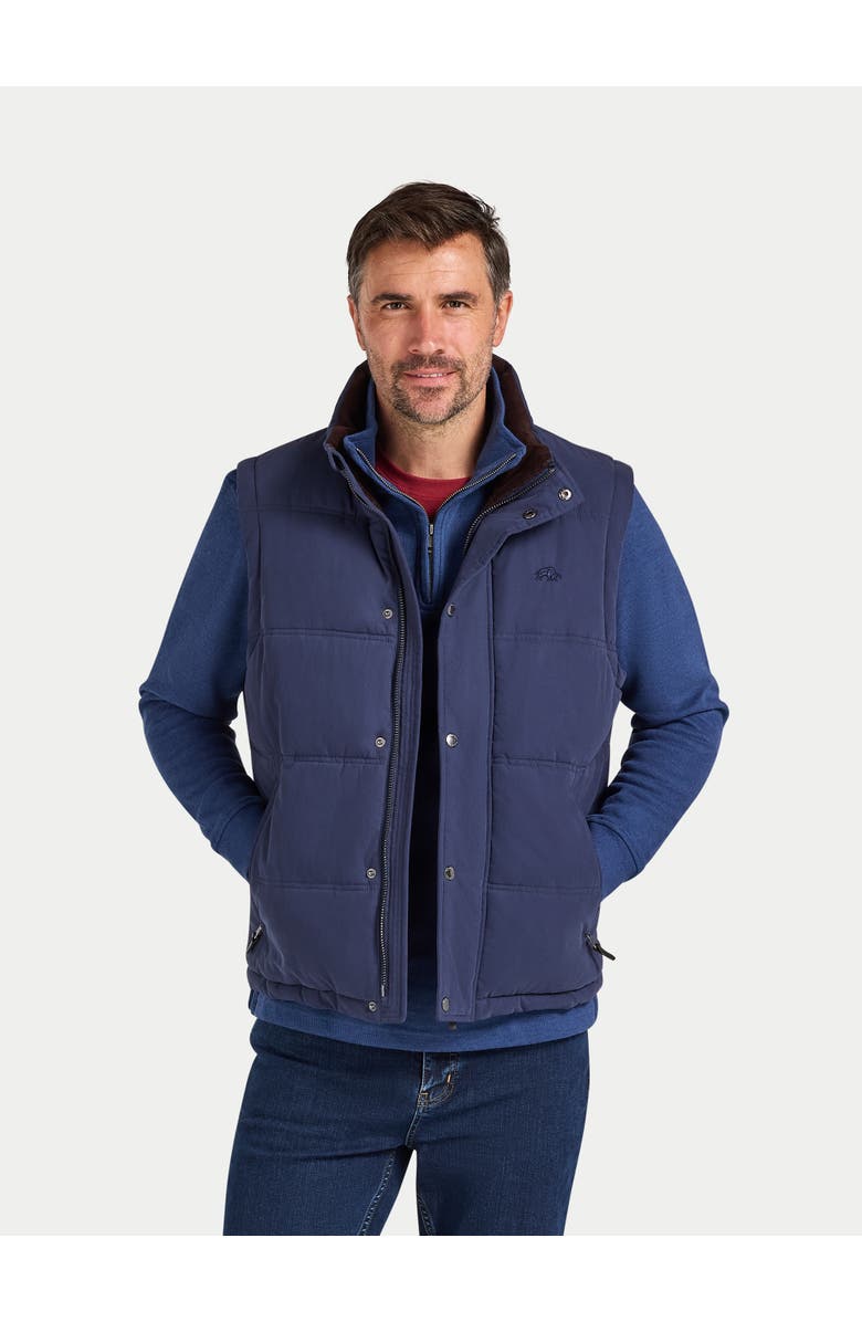 Raging Bull Classic Padded Gilet, Alternate, color, Navy