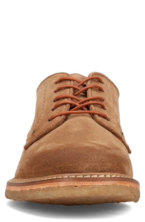 Frye Carter Derby In Brown