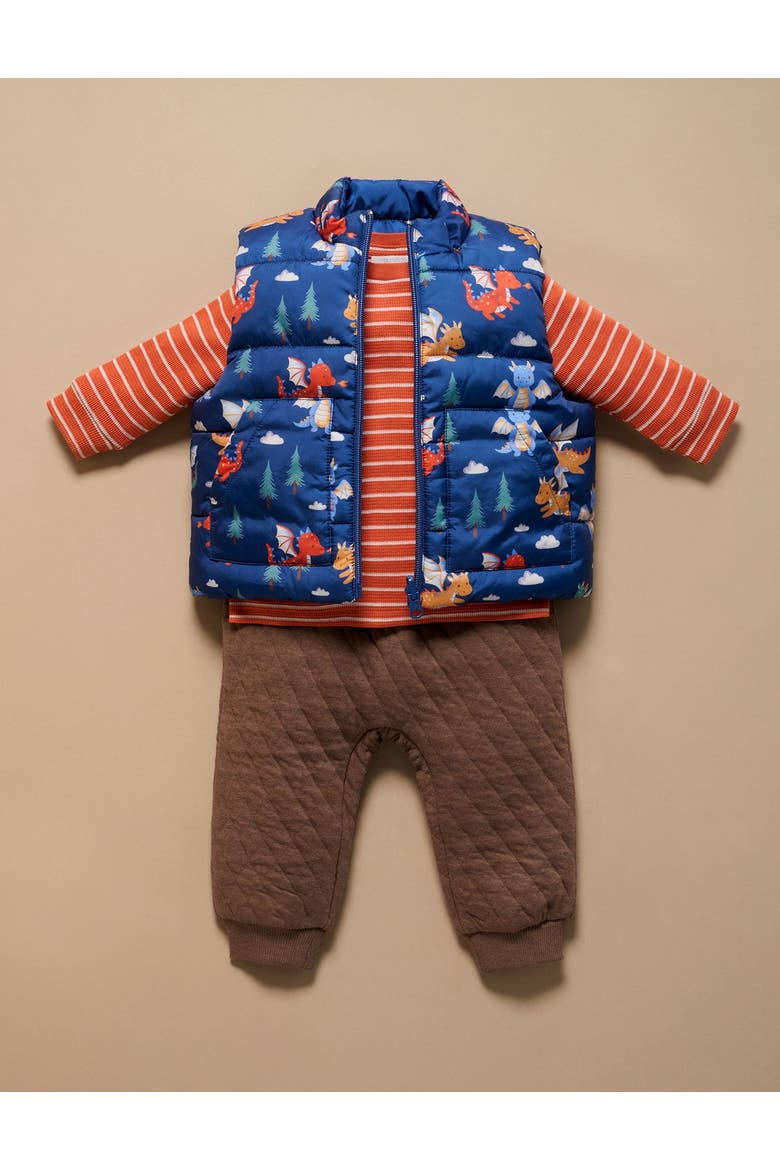 Baby Boy's Reversible Puffer Vest, Alternate, color, Dragon Print