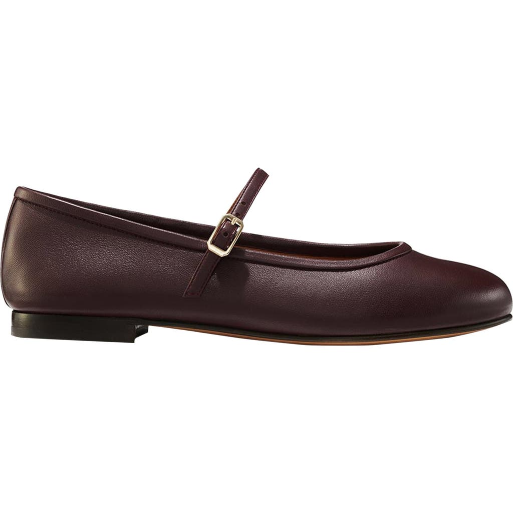Margaux The Demi Jane In Purple