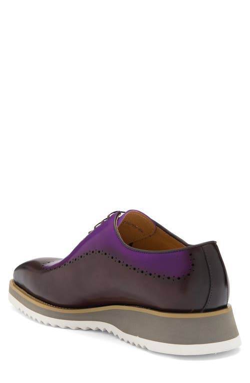 Maison Forte Palomar Wholecut Oxford In Purple