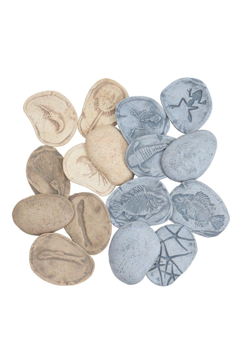 Magnetic Matching Aquatic Life Fossil Stones - Set of 8, Alternate, color, Gray