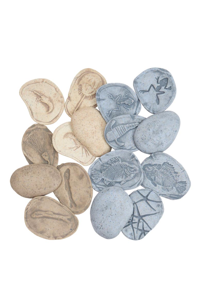 Kaplan Early Learning Company Magnetic Matching Aquatic Life Fossil Stones - Set of 8, Alternate, color, Gray