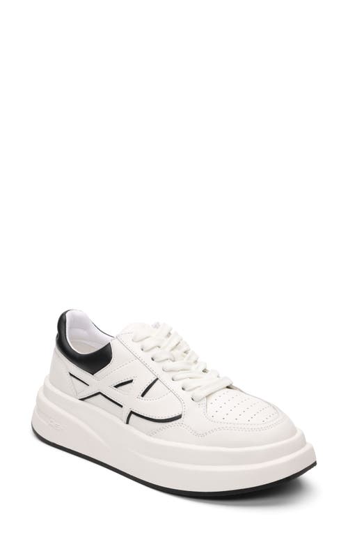 Ash Icone Platform Sneaker In White/black