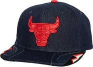 Mitchell & Ness Men's Mitchell & Ness  Denim Chicago Bulls Day 6 Snapback Hat