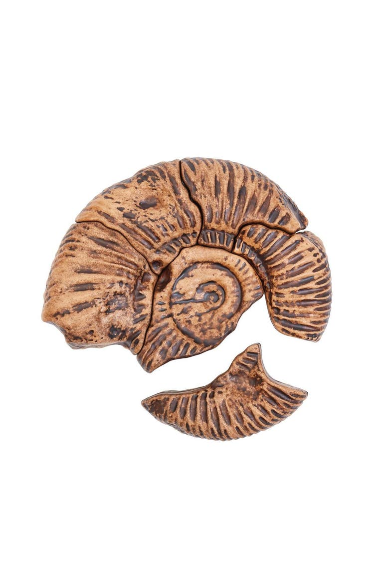 Magnetic Fossil 3D Puzzle - Ammonite - 6 Pieces, Alternate, color, Brown