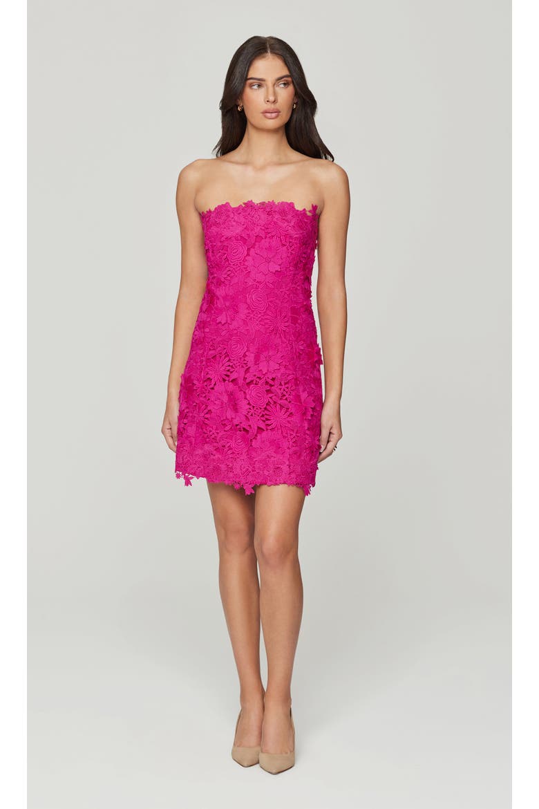 Lydia 3D Lace Dress, Alternate, color, Hibiscus