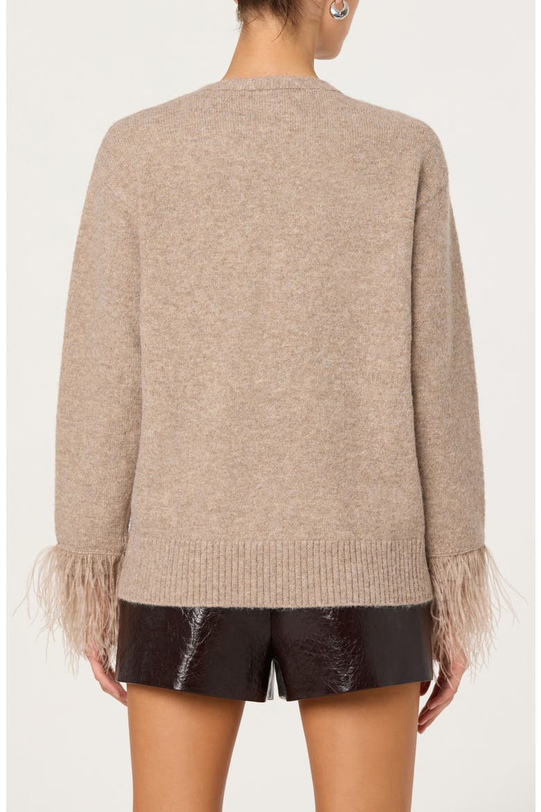 Grie Crystal Embellished & Feather Trim Cardigan, Alternate, color, TAUPE