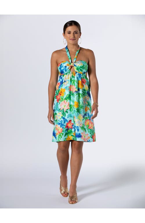 Tori Richard Tropical Loading... Lotte Dress In Aqua