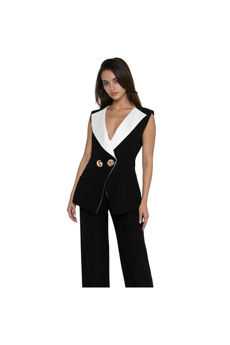 Hirea Vest Coat, Alternate, color, BLACK