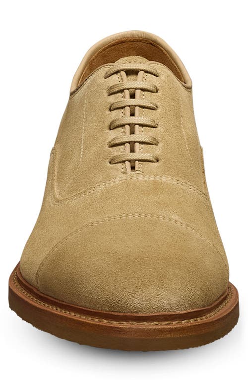 Allen Edmonds Park Verse Oxford In Bone