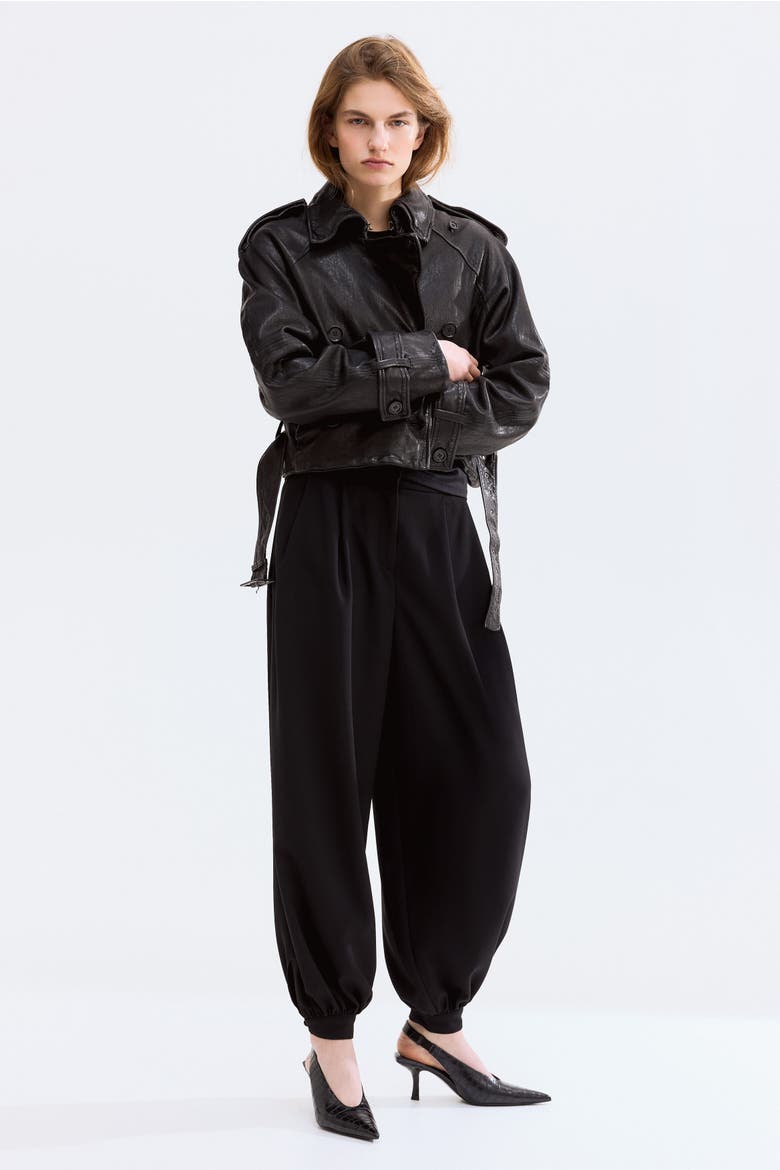 Pleated Balloon Pants, Alternate, color, Black