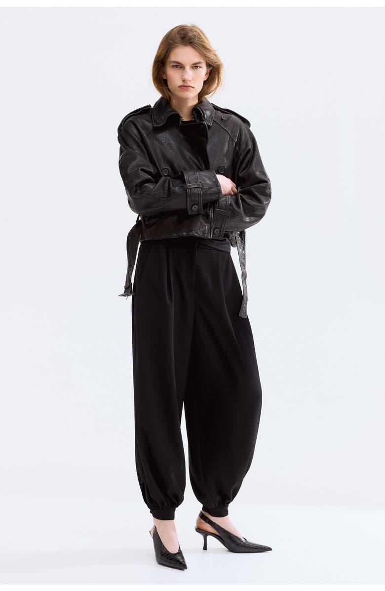 H&M Pleated Balloon Trousers, Alternate, color, 