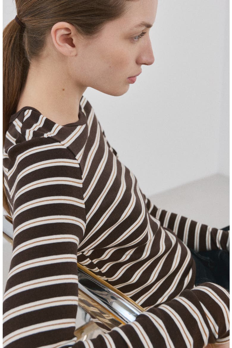 Stripe Long Sleeve T-Shirt, Alternate, color, BROWN