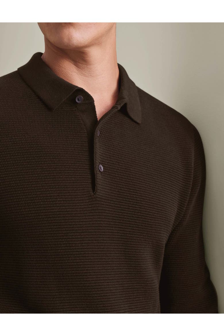 Knit Texture Long Sleeve Cotton Polo, Alternate, color, Chocolate Brown