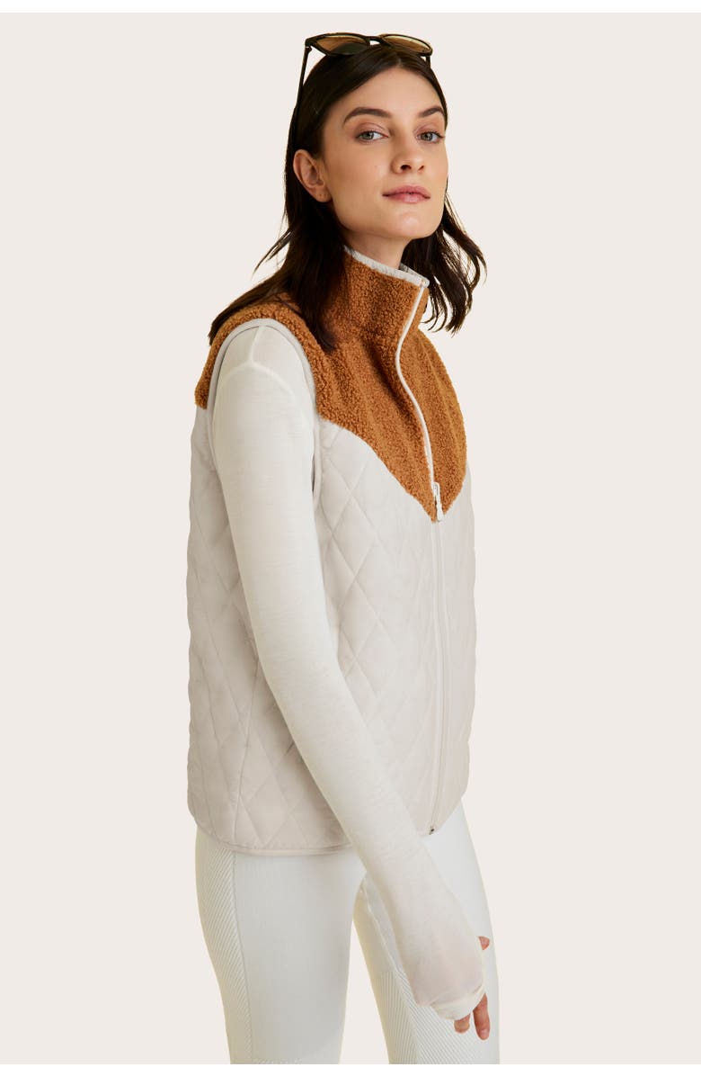 ALALA Reversible Ski Vest, Alternate, color,
