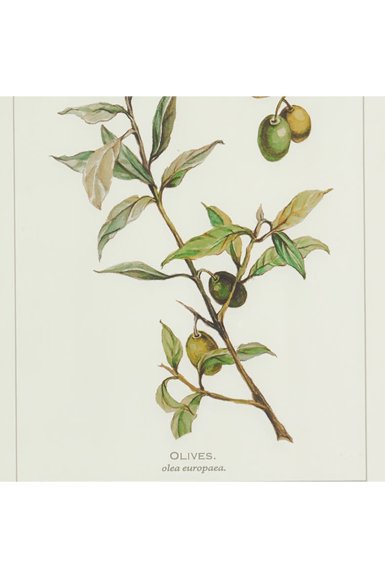 Framed Olive Leaf Botanical Prints Set of 4, Alternate, color, Off-White