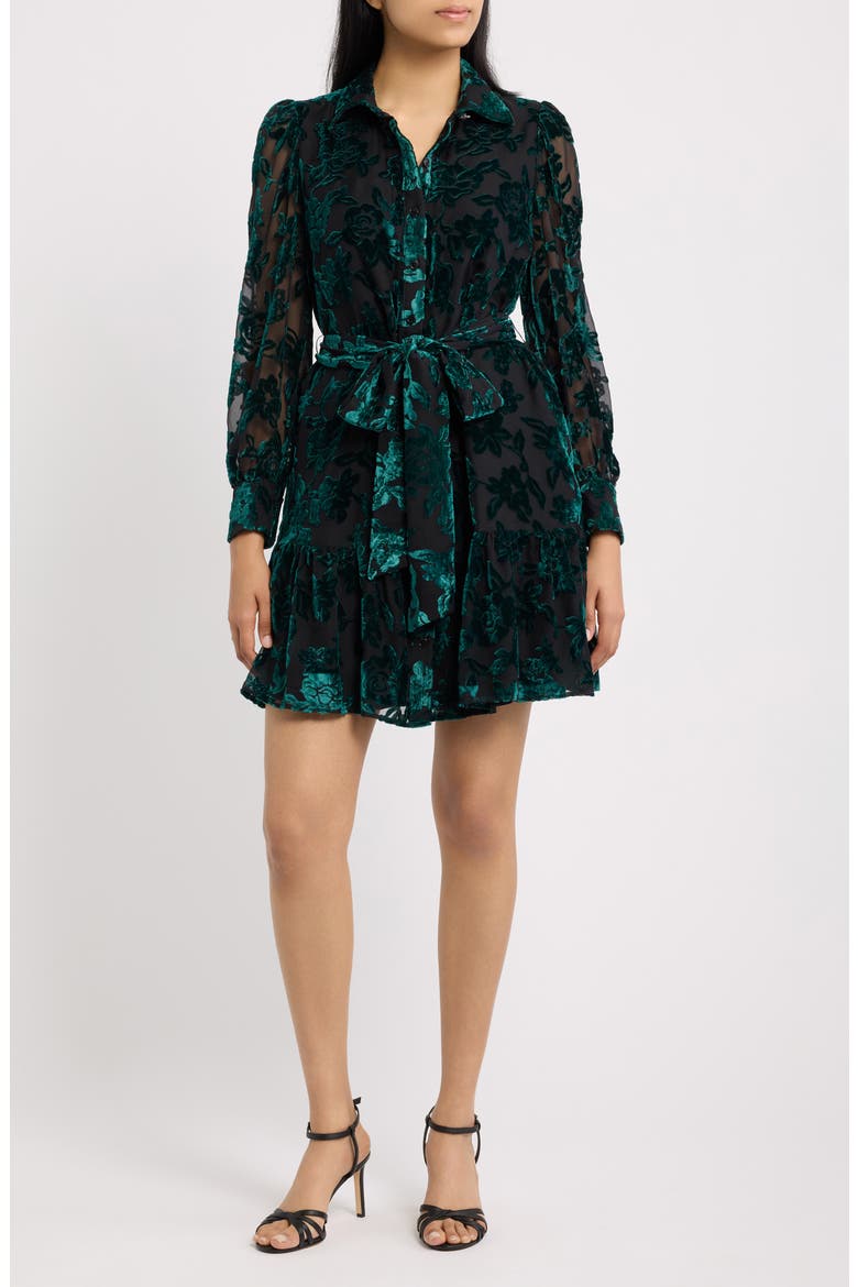 Tiered Tie Waist Long Sleeve Burnout Shirtdress, Main, color, DEEP JADE / ANNE BLACK