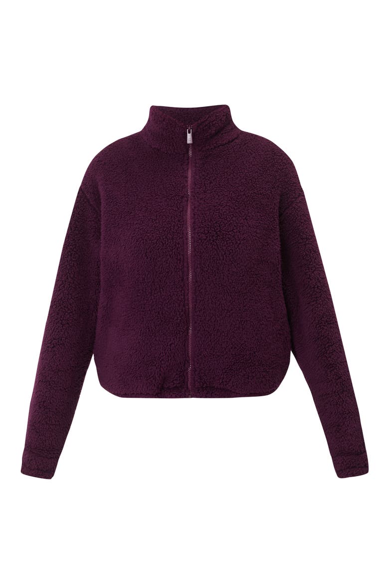 Canyon Front Zip High Pile Fleece Jacket, Alternate, color, PLUM PURPLE