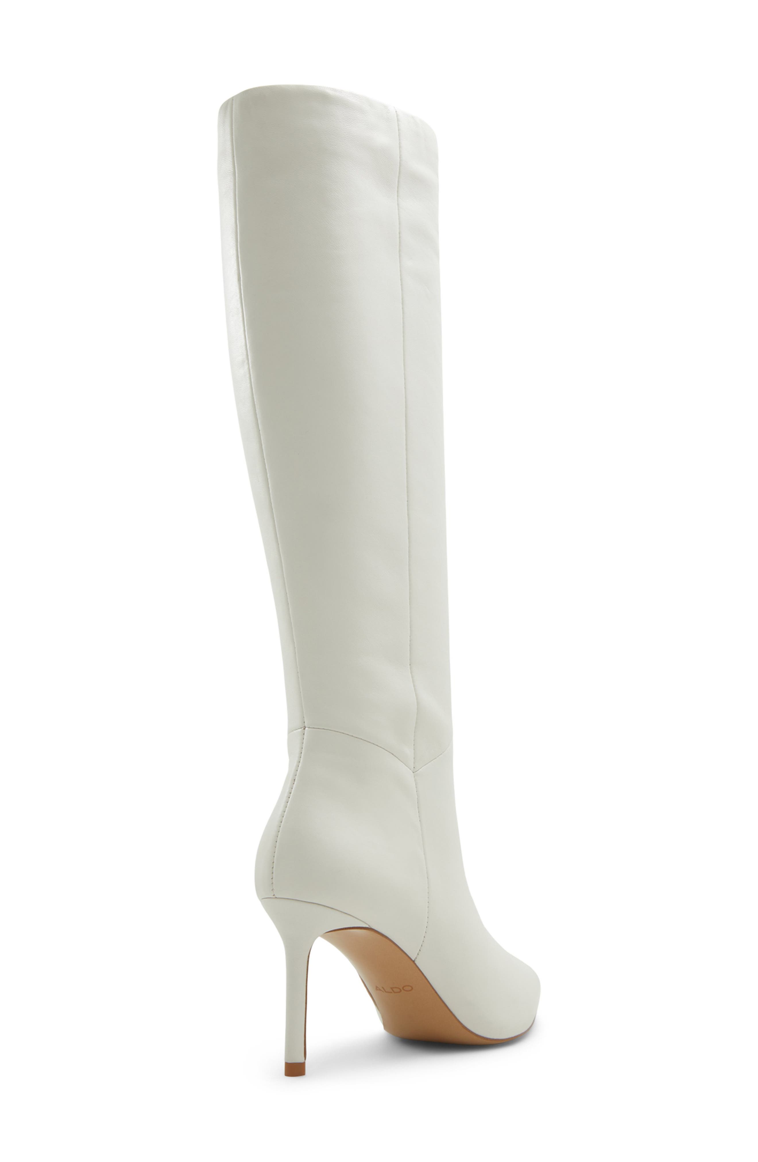 ALDO Laroche Pointed Toe Knee High Boot, Alternate, color, 