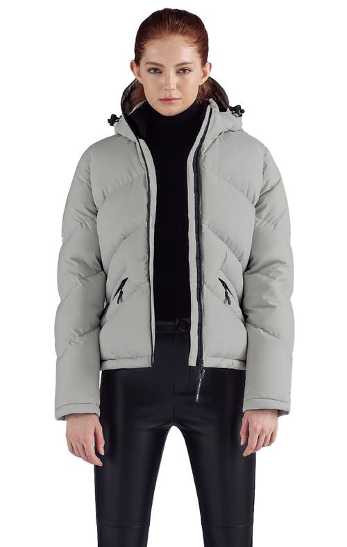 Triple F.a.t. Goose Puffer Down Jacket In Gray