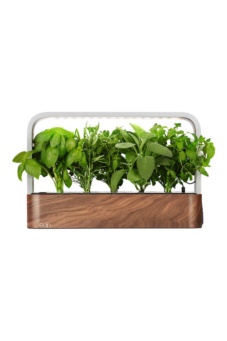 SmallGarden Smart Garden, Main, color, WALNUT