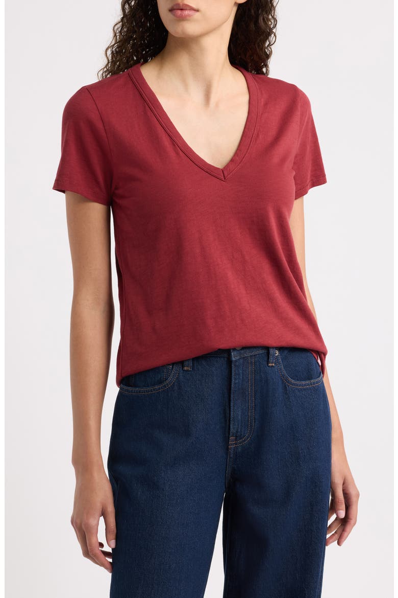 The Slub V-Neck T-Shirt, Main, color, PMGT