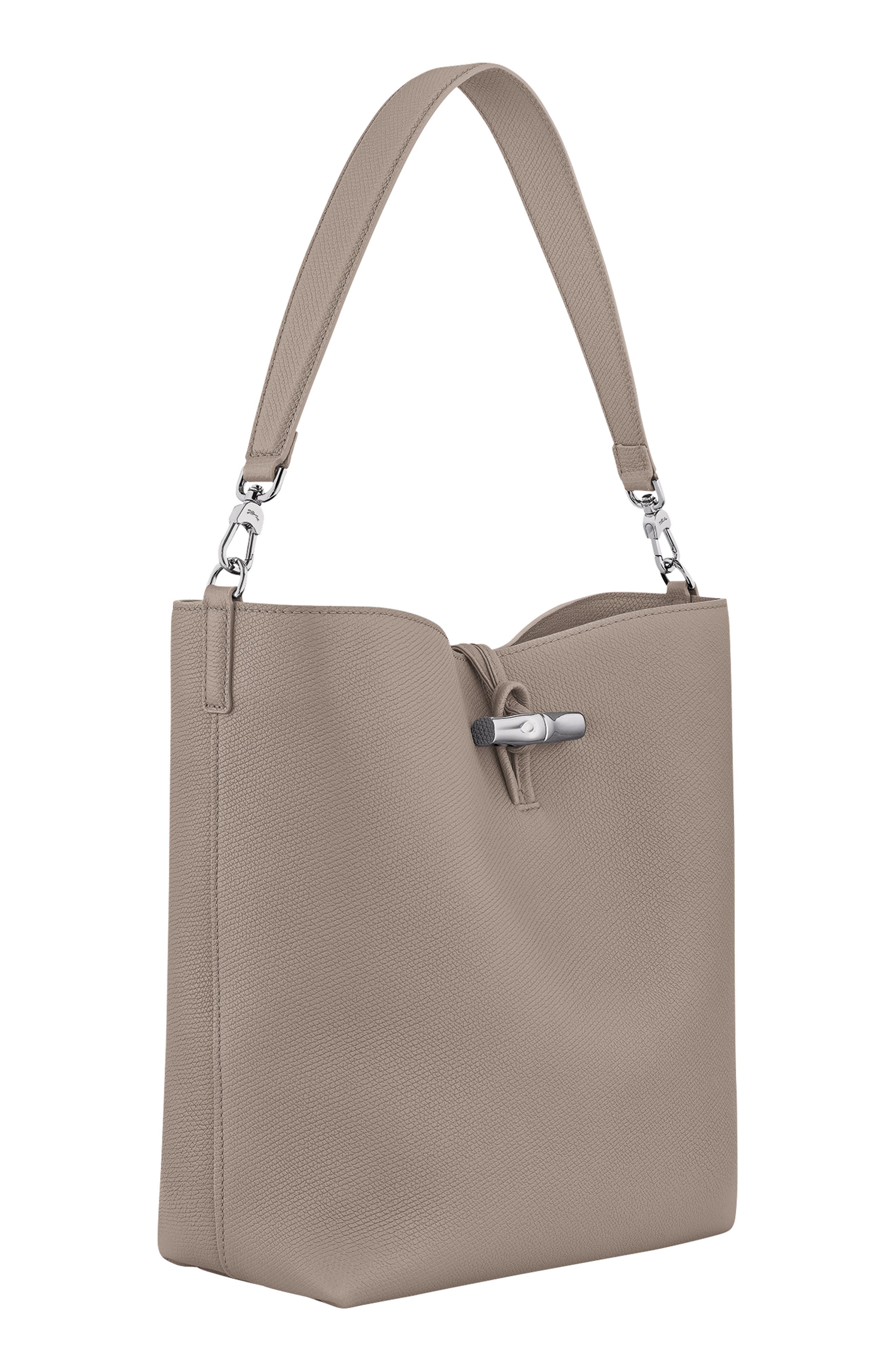 Medium Le Roseau Leather Hobo Bag, Alternate, color, CLAY