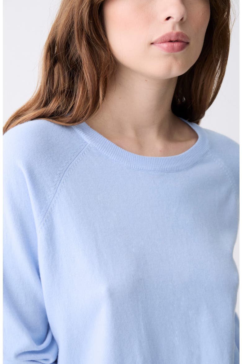 Lorriane Crewneck Sweater, Alternate, color, LIGHT BLUE
