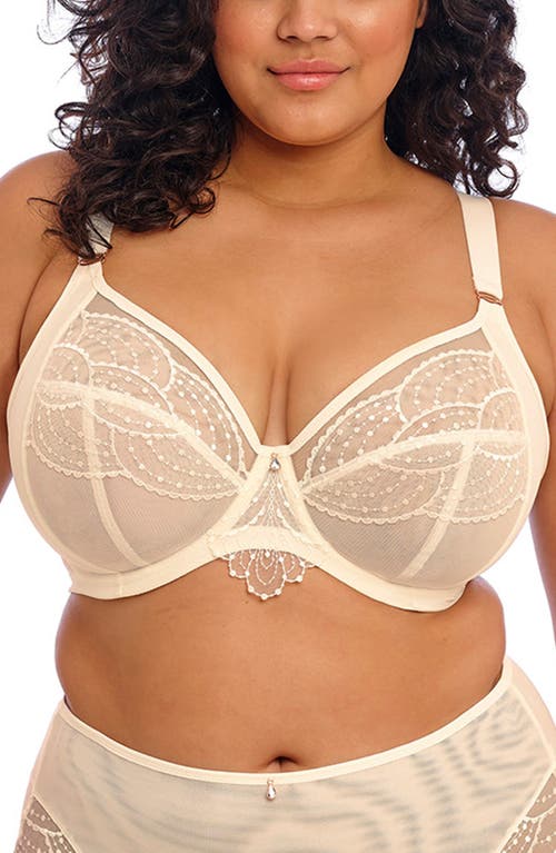 Elomi Priya Full Figure Underwire Plunge Bra in Vanilla at Nordstrom, Size 34Hh