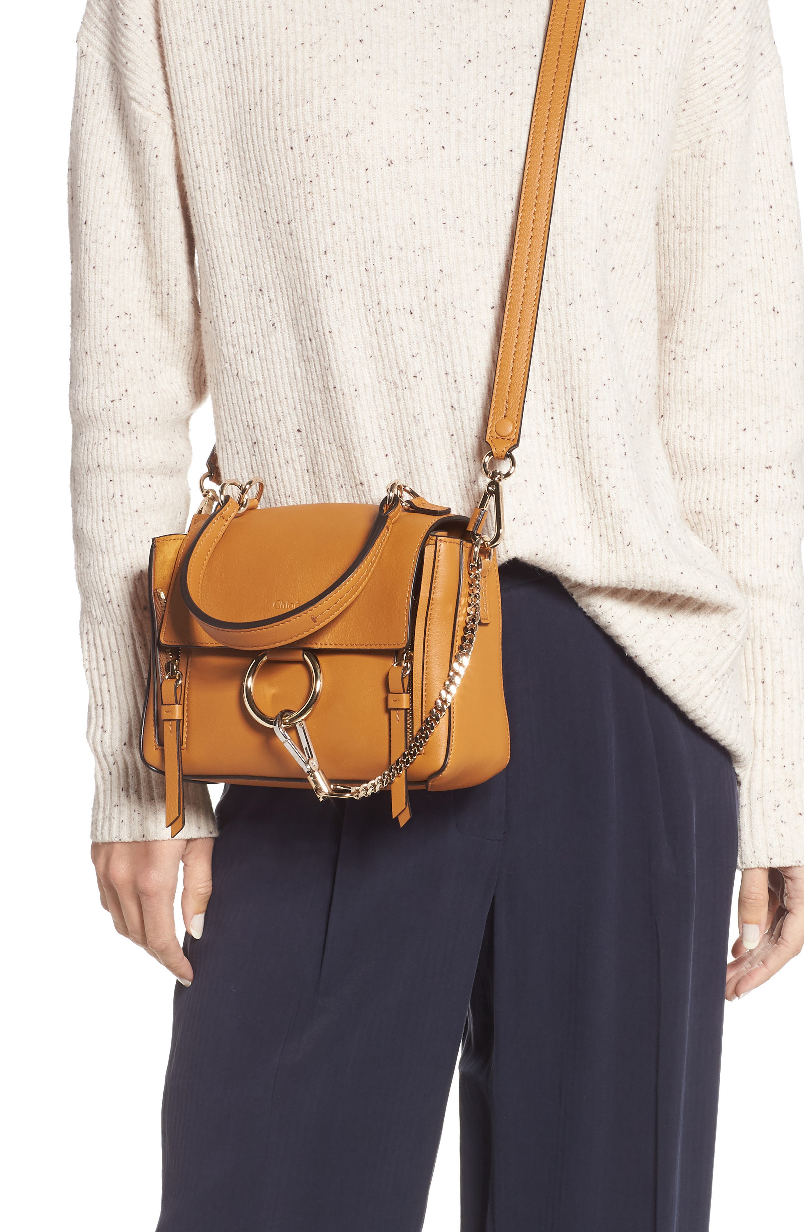 Mini Faye Day Leather Crossbody Bag, Alternate, color, AUTUMNAL BROWN