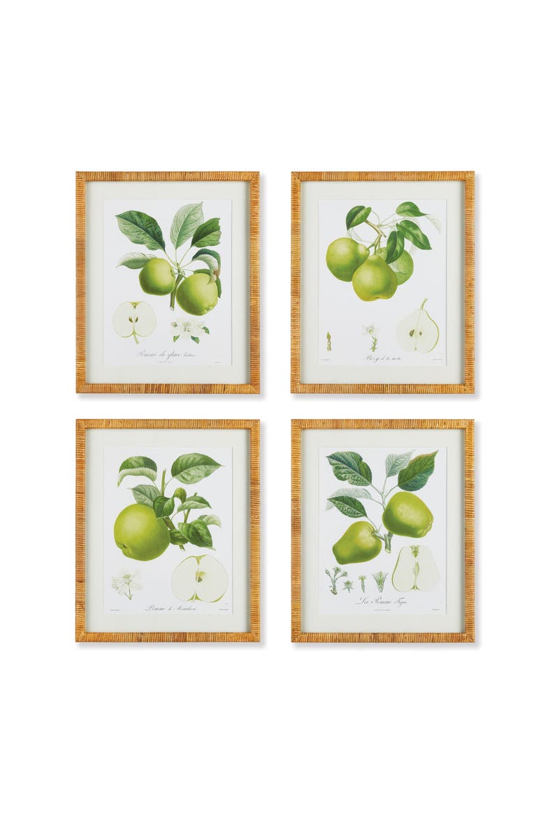 Fruit Study Set of 4, Main, color, Green