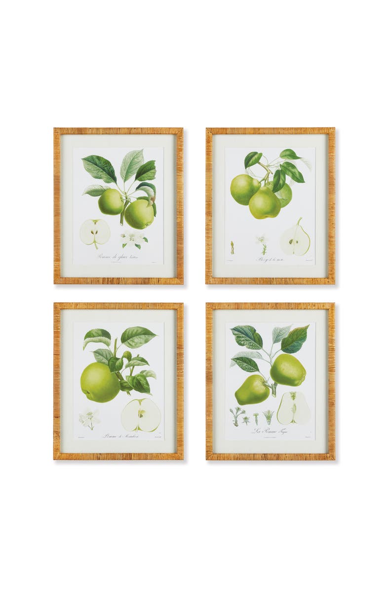 Napa Home & Garden Fruit Study Set of 4, Main, color, 