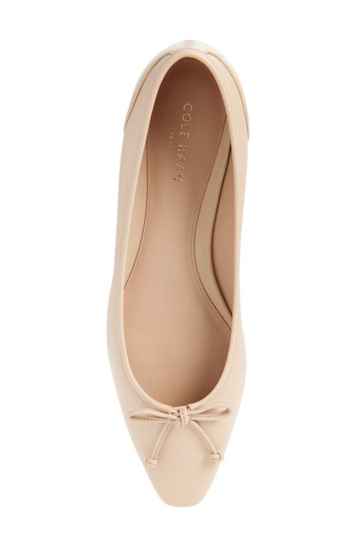 Cole Haan Chlea Pointed Toe Ballet Flat In Porcelain Leather